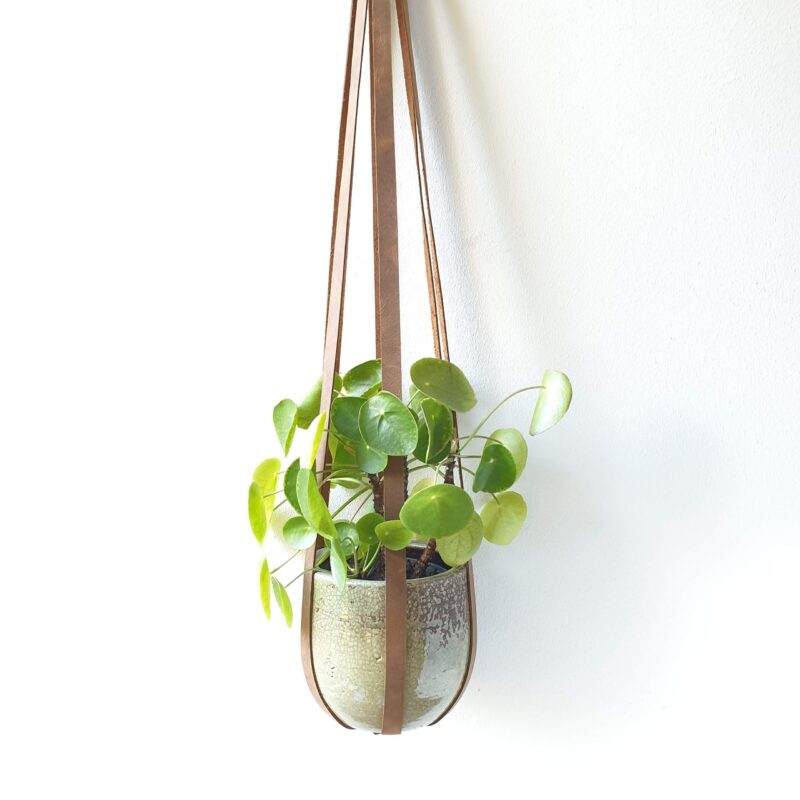 Voorwaarde Haringen aanvaardbaar Leren plantenhanger - Puck Designs - Cadeautip!